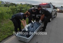 Corpo de homem é encontrado em área de mata na BR-364, no interior do Acre