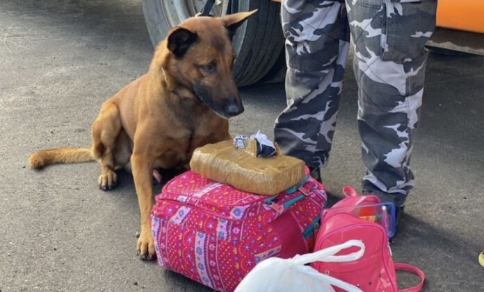 A6B6999D-5A6E-4626-BD93-0E7CC39F610C-q2bk7v99g9ne1utyzdw8zvllozanfy9qnwq2hkqjpm