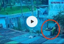 CHOCANTE! Vídeo mostra catador de lixo carregando cama com corpo de sobrinho de ex-vereador no Acre