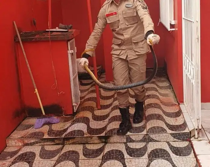 cobra-sena-madureira-4