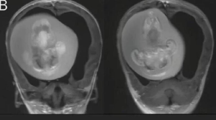 Novo-Projeto-2023-03-09T102304.259