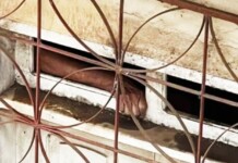 VÍDEO: idoso é resgatado pelo telhado de casa quase submersa em Rio Branco