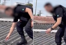 Ptolomeu 3: Celular foi jogado em telhado de casa para evitar apreensão pela PF; veja o vídeo