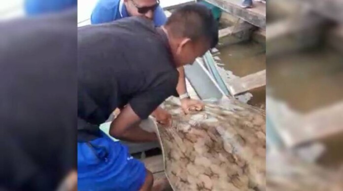 Novo-Projeto-2023-04-21T092326.946