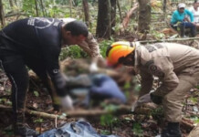 Trabalhador morre em derrubada de árvore em Cruzeiro do Sul