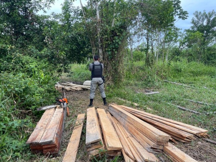 WhatsApp-Image-2023-05-03-at-03.53.19