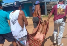 Criminoso “toca o terror”, esfaqueia idoso no interior do Acre e é baleado por policial à paisana