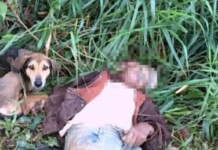 No Acre, idoso é encontrado morto e cachorro permanece ao lado do corpo do seu amigo até a chegada da perícia