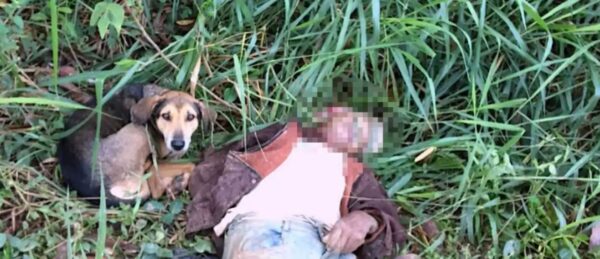 Capturar.JPGcolobno-600x259