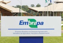 Embrapa anuncia processo seletivo para bolsistas no Acre em diversas áreas, com foco em estímulo e inovação