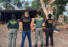 Homens são presos em flagrante por transporte ilegal de madeira no Juruá