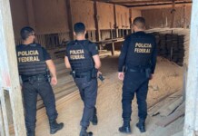 No interior do Acre, PF deflagra operação contra empresários por lavagem de dinheiro e atuação clandestina