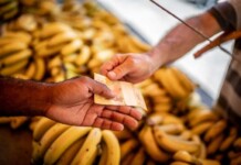 Alimentos, aluguel, apps de transporte e até sua Netflix: como a reforma tributária impacta sua vida