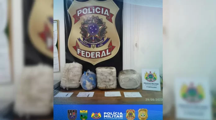 xNovo-Projeto-2023-08-29T202612.833.jpg.pagespeed.ic.S7NQASVfYb