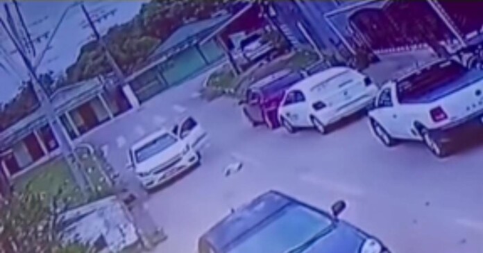 92e0415d-c5be-4fa3-a8a8-b86cd8911024