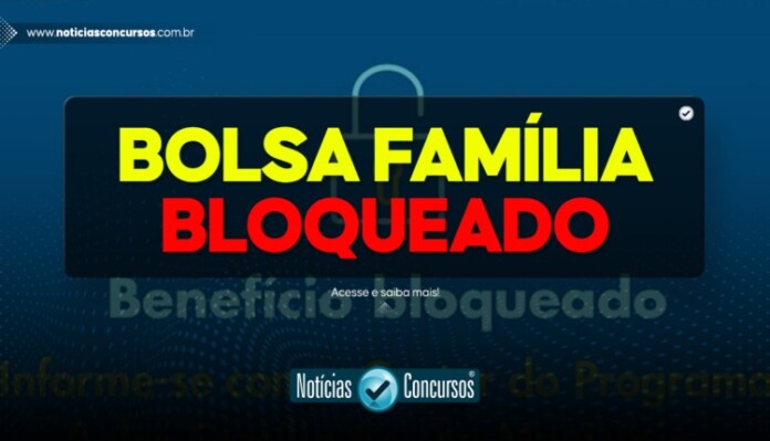 noticiasconcursos.com_.br-bolsa-f-1-1 (1)