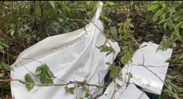 2f55e467-dae8-4eeb-9df9-c190fd1c6f58-1140x622