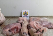 Em Cruzeiro do Sul, homem é preso com quase 50 kg de carne de caça