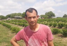 Produtor rural de Mâncio Lima vê na cafeicultura uma nova oportunidade de renda