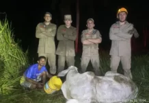 Boi e cachorro são resgatados de poço por bombeiros em Mâncio Lima