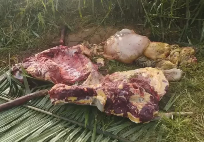 WhatsApp-Image-2023-11-26-at-21.31.42-jpeg