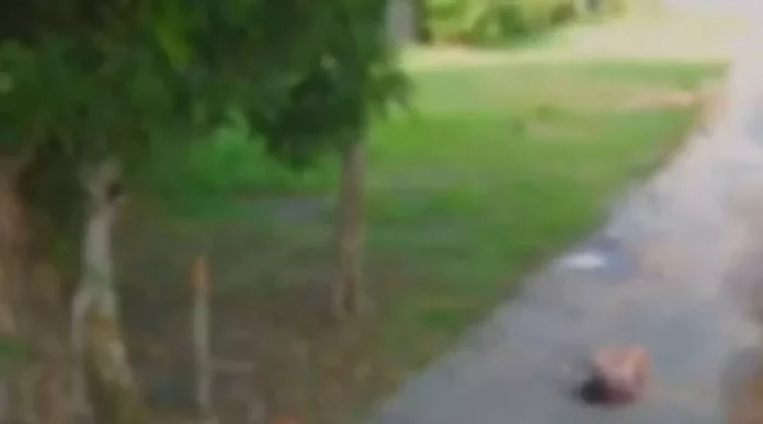 xNovo-Projeto-2024-01-03T083022.397.jpg.pagespeed.ic.UWhBNGIMm_