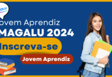 Jovem aprendiz Magazine Luiza 2024: Vagas para jovens com idade entre 14 E 24 anos; Salários de R$ 600; Veja como se inscrever