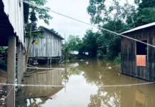Rio Envira transborda em Feijó e deixa dezenas de desabrigados
