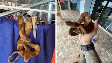 materia_especial_35_widelg (1)