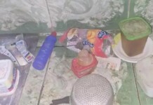 MALDADE: idosa de 78 anos vítima maus-tratos é resgatada; família morava no mesmo quintal e não dava nem água para senhorinha