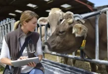 Senar e-Tec EaD abre inscrições para curso Técnico em Zootecnia no Acre