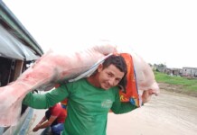 Ministério da Pesca abre concurso com vagas para o Acre; salário passa de R$ 6 mil