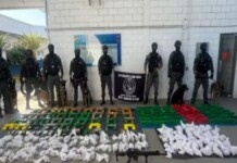 Operação da PM apreende mais de 800 quilos de maconha