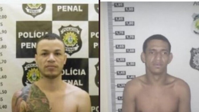 2543d0ed-95a4-474c-ac34-0c1342dc89d8-1