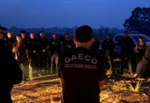 Operações integradas miram o crime organizado e ilícitos eleitorais em Feijó