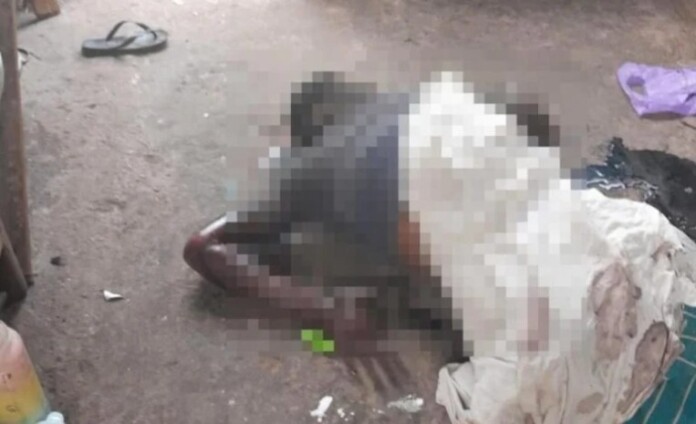 corpointerior-768x468-1