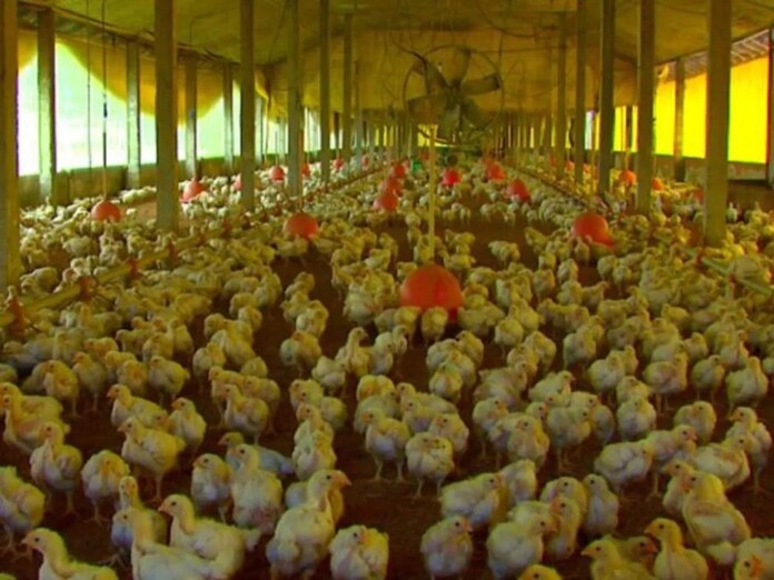 5c42c3e6-5a0e-420e-87a0-f01a57326ec5