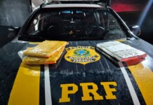 No Acre, PRF apreende quase 5 kg de droga em caixa térmica com açaí e inhame na BR-364; VEJA VÍDEO