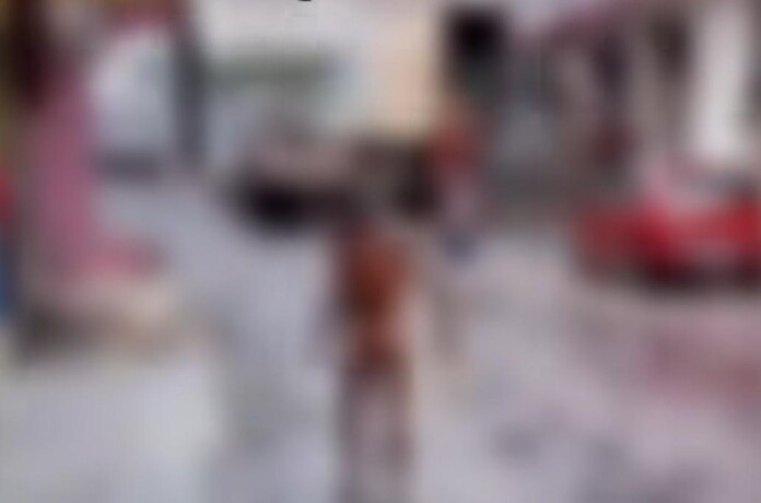 WhatsApp-Image-2025-03-03-at-09.30.18