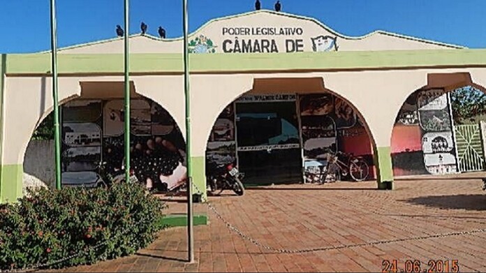 camarafeijo