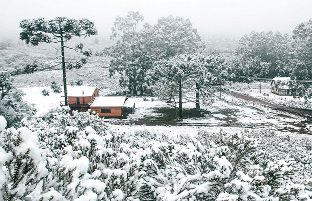 neve-no-brasil-capa