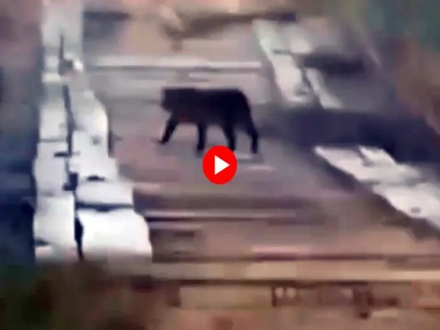 not-9093-20250506171119