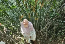 Polícia Civil retira corpo de homem assassinado em área de mata de Marechal Thaumaturgo