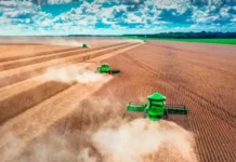 Acre, Amapá e Amazonas ficam fora da expansão da soja na Amazônia, mostra levantamento