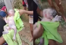 Mulher joga recém-nascido pela janela de casa; bebê é resgatado por uma vizinha e levado ao hospital