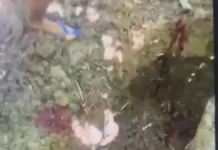 Polícia Civil localiza cova de homem executado na floresta após vazamento de vídeos no Juruá