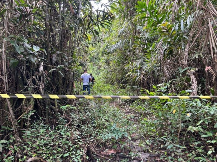 2781b660-b5c3-424e-a2fe-42202b744cce-768x576