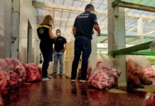 Empresa é fechada após apreensão de mais de 4 toneladas de carne imprópria para consumo no Acre