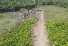 Moradores de Porto Walter se organizam para tentar reabrir estrada interditada