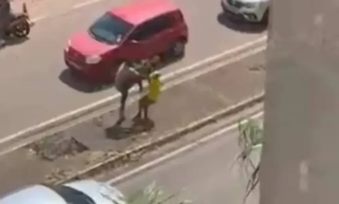 idoso-com-camisa-do-brasil-e-agredido-por-militantes-durante-recepcao-de-lula-em-porto-velho-1-1000x600